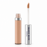 Wise Disguise Concealer
