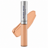 Wise Disguise Concealer